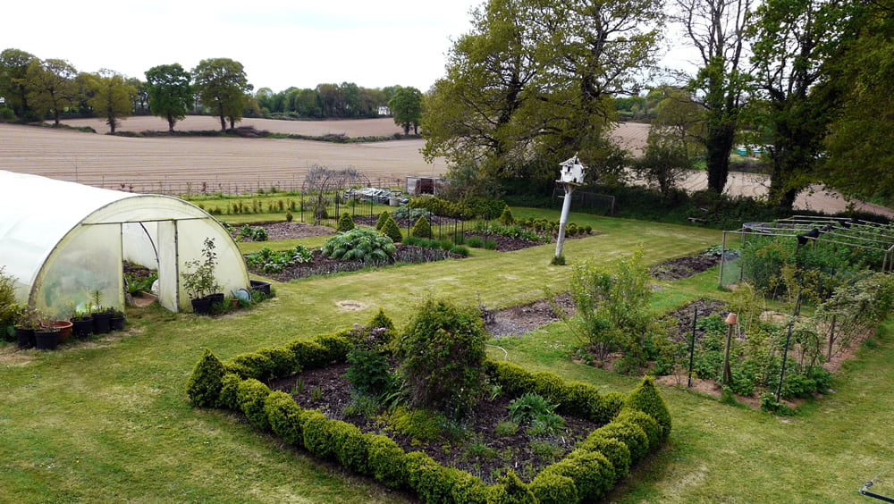 Kitchen Garden