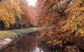 le canal à l'automne, parfait pour une promenade