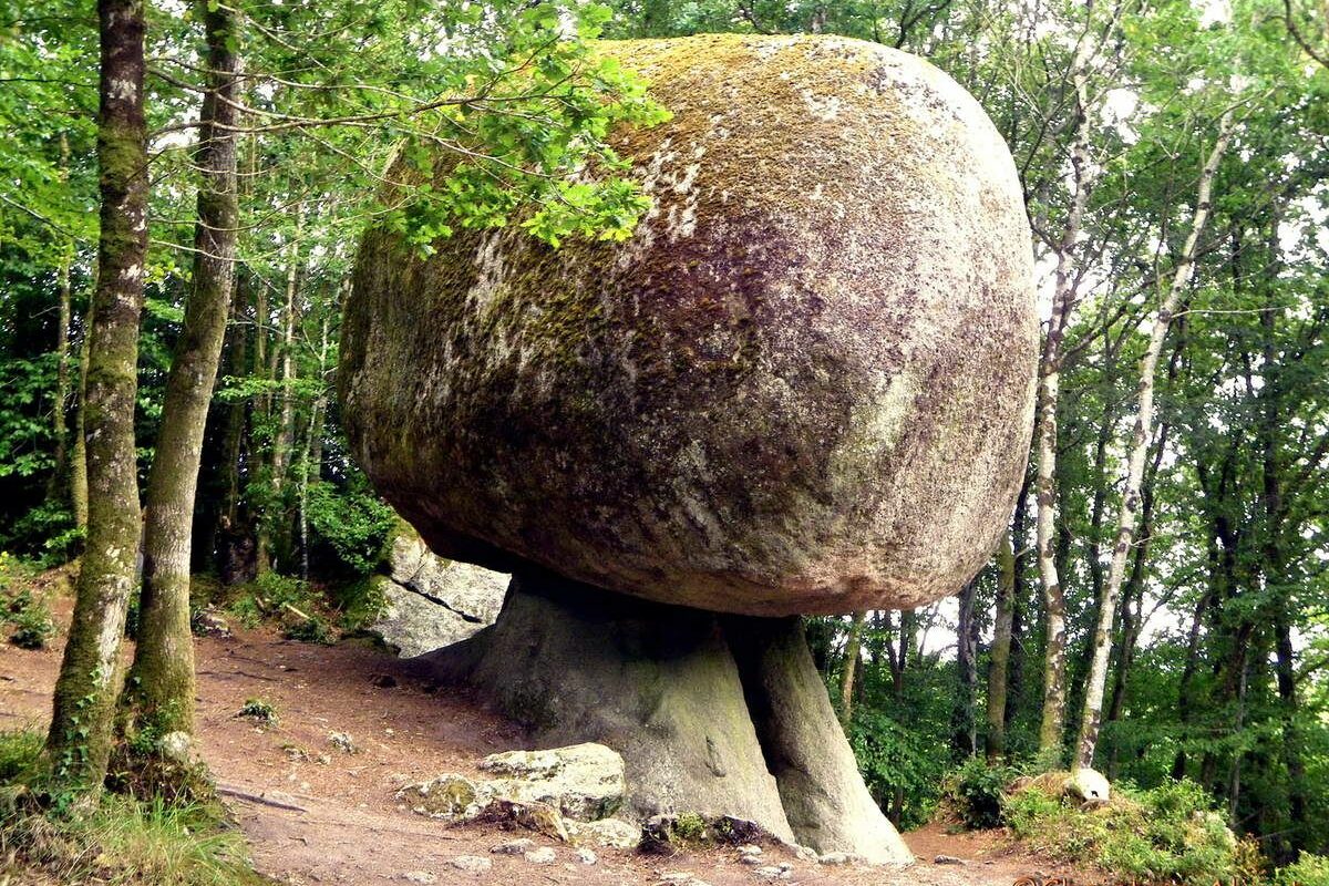 le champignon de la foret d'huelgoat Rochers et rivière d’Argent à Huelgoat
