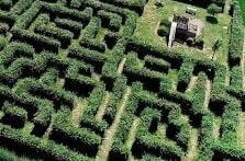 Découvrez le plus grand Labyrinthe de Bretagne. En famille ou entre amis, petits et grands suivez la trame d’une histoire dans les dédales du labyrinthe. Vous avez entre vos mains un plan du lieu. Chaque indice mis bout à bout vous donnera, à la fin de ce labyrinthe, la clé du mystère. Profitez également de notre zone de jeux gonflables, de manège, piste de kart à pédale, luge sur bouée…