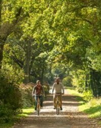 La Vélodyssée, partie française de Atlantic Coast Route - EuroVelo 1, est une véloroute qui traverse la Bretagne et longe l’Atlantique jusqu’à la Côte basque par un parcours tonique et sauvage. Enfourchez vos vélos et en route pour un périple de plus de 1300 km de vélotourisme avec l’océan en toile de fond ! Entre Roscoff et Hendaye, près de 80% du trajet se réalise sur des voies sans voiture. Découvrez les trésors de nos régions, en suivant la plus longue véloroute française aménagée, entièrement balisée de bout en bout.