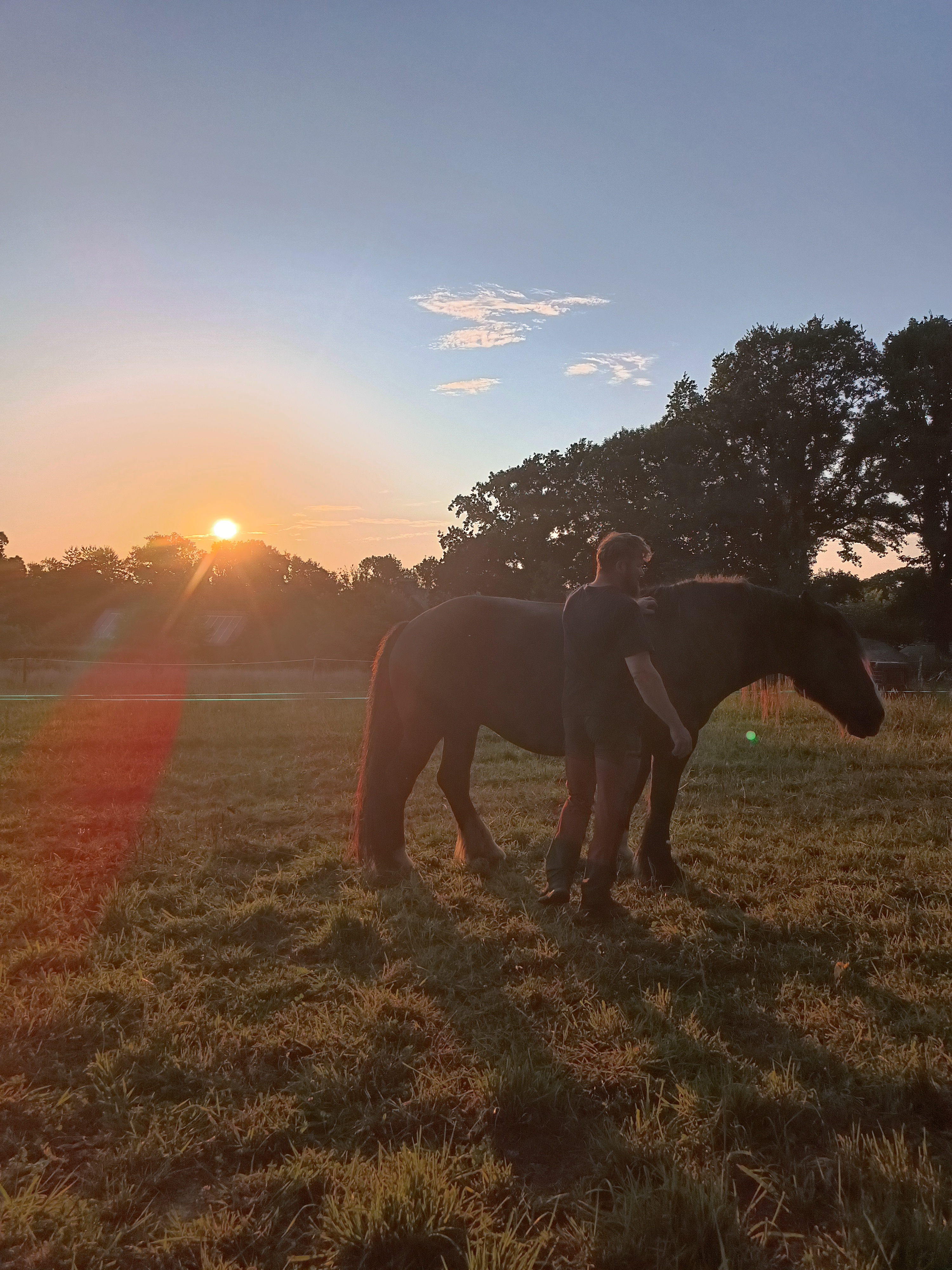 prairie-manoir-kerledan-carhaix Marc et son cheval dans la prairie du manoir en contre-jour au coucher du soleil